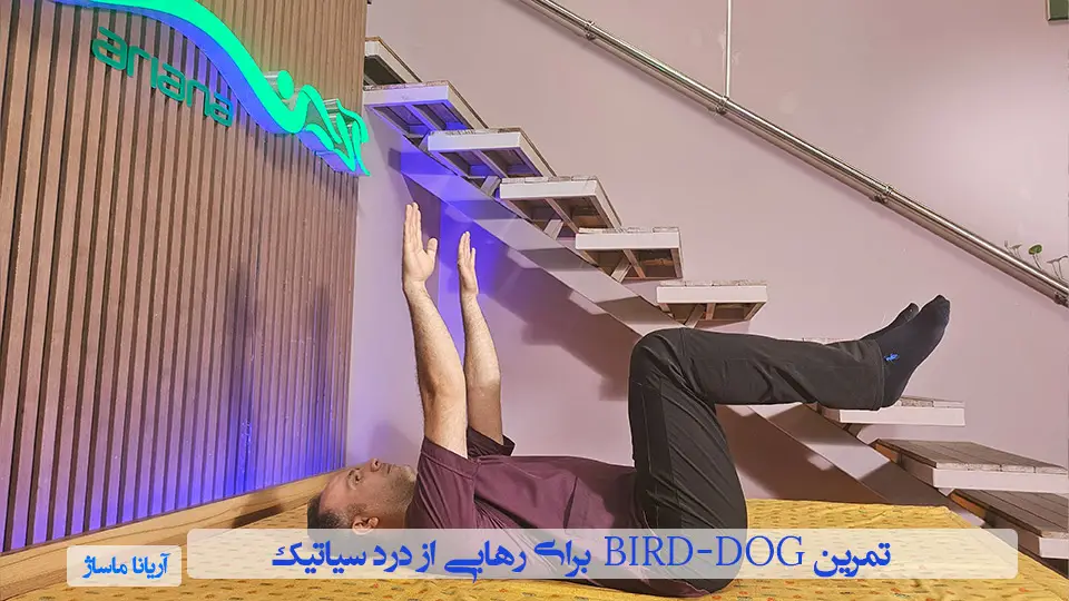 تمرین Bird-Dog